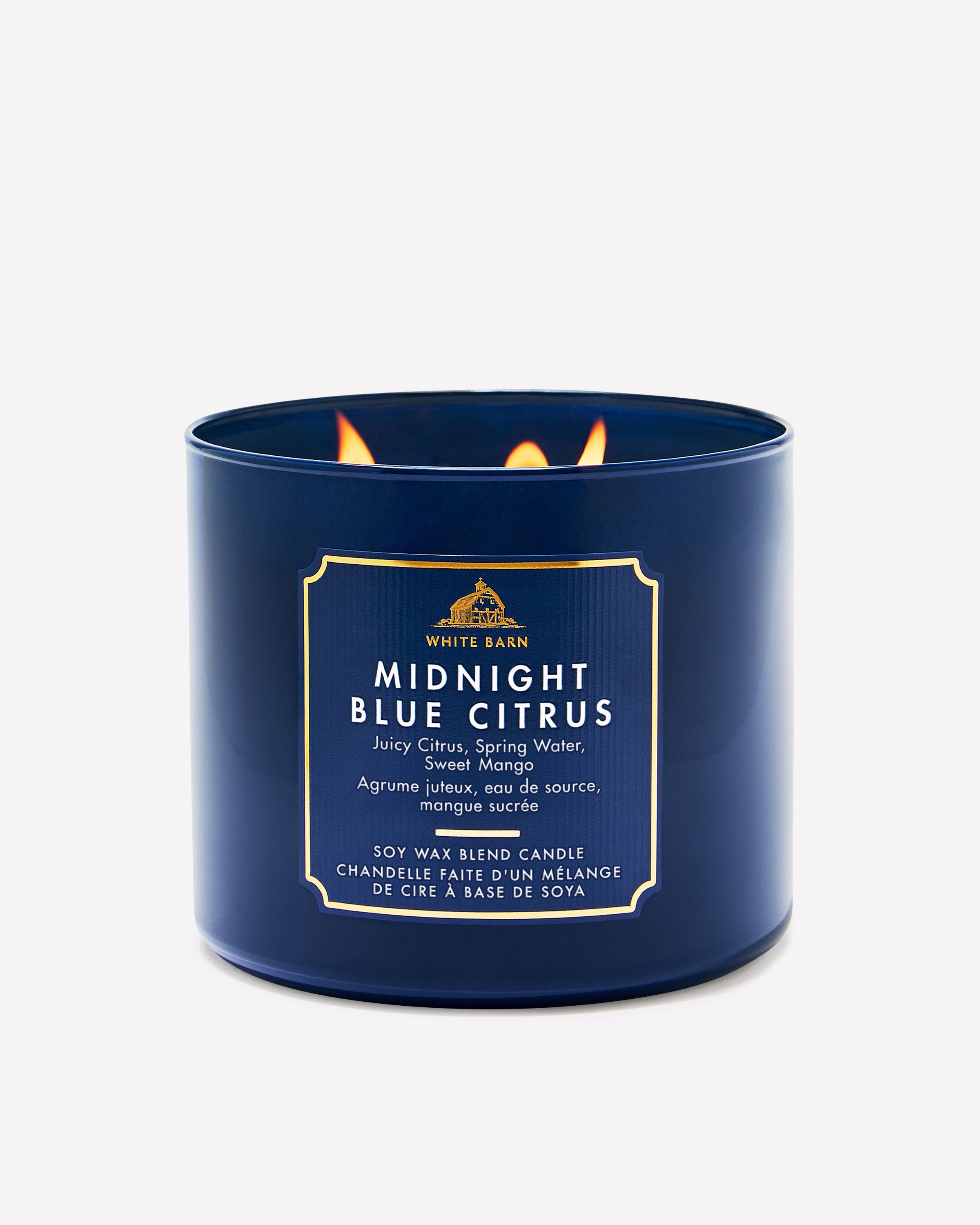 Midnight Blue Citrus 3-Wick Candle