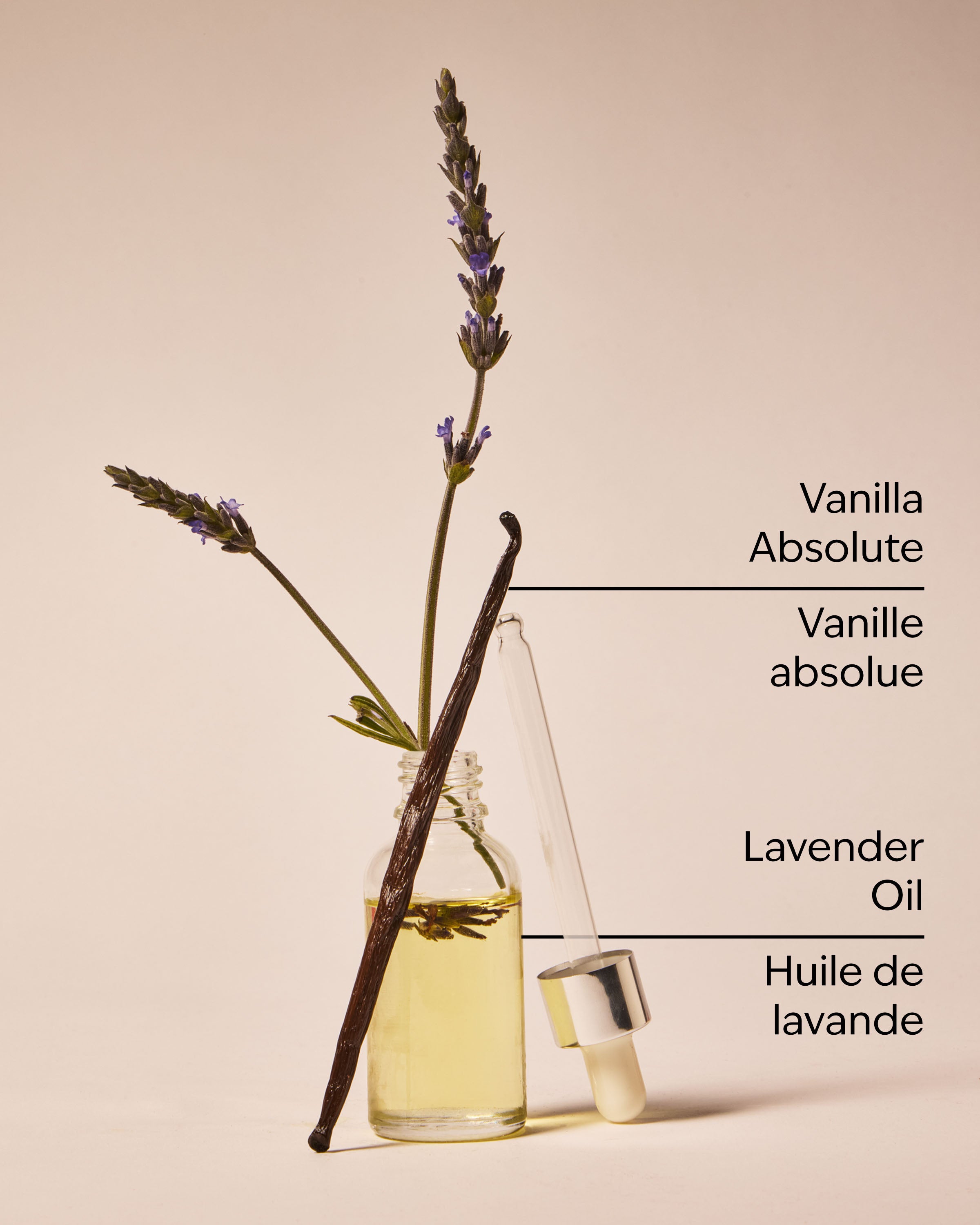 Lavender Vanilla Gift Set