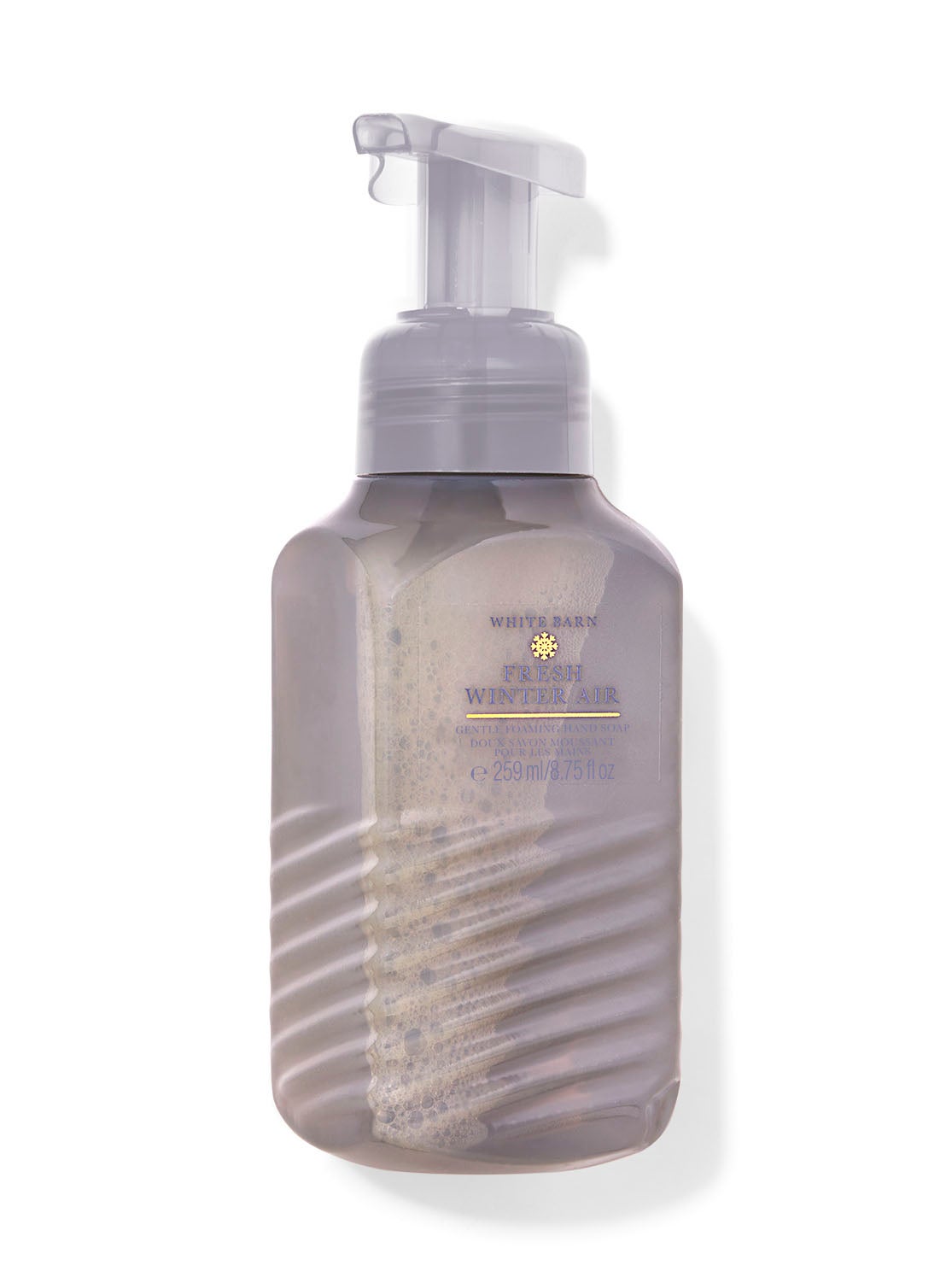 Fresh Winter Air Gentle Foaming Hand Soap Bath and Body Works