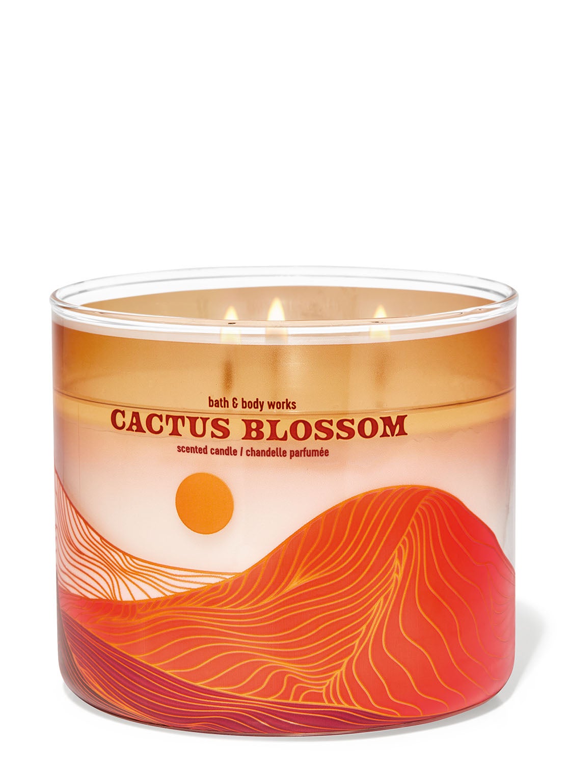 Cactus Blossom 3Wick Candle Bath and Body Works