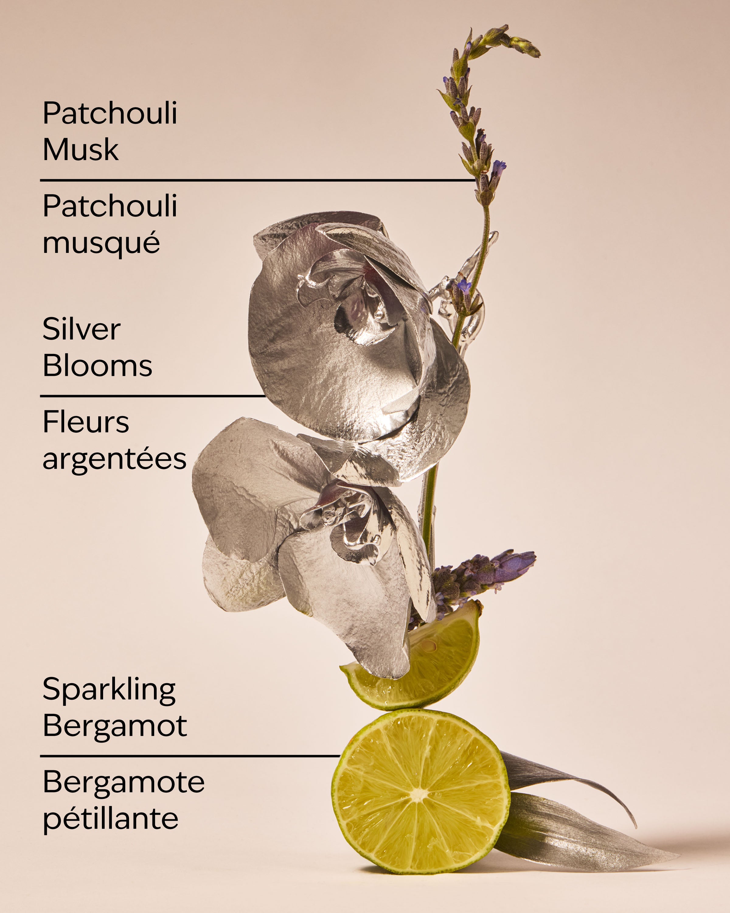 Platinum Diamond Shimmer Mist