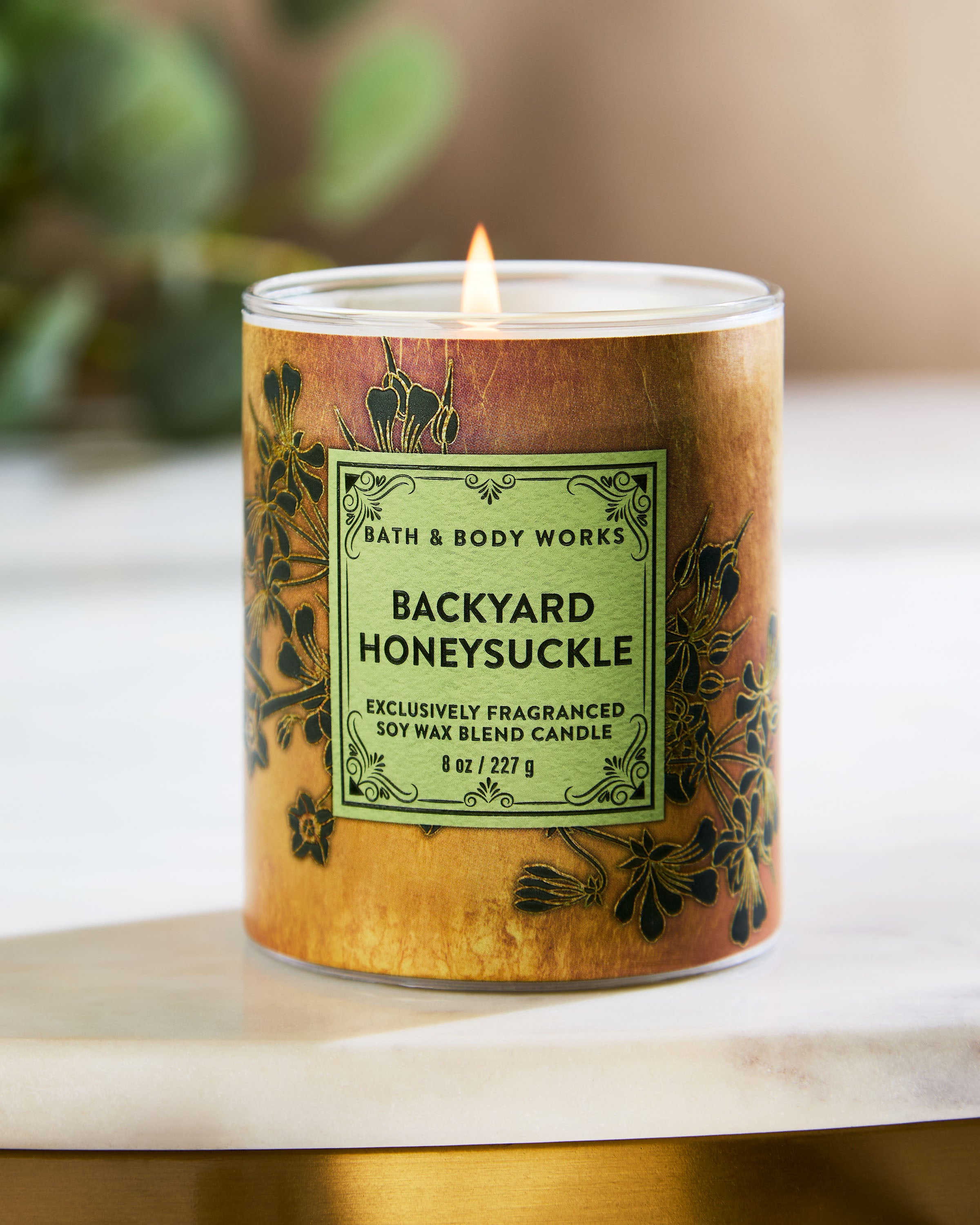 Backyard Honeysuckle Single Wick Candle