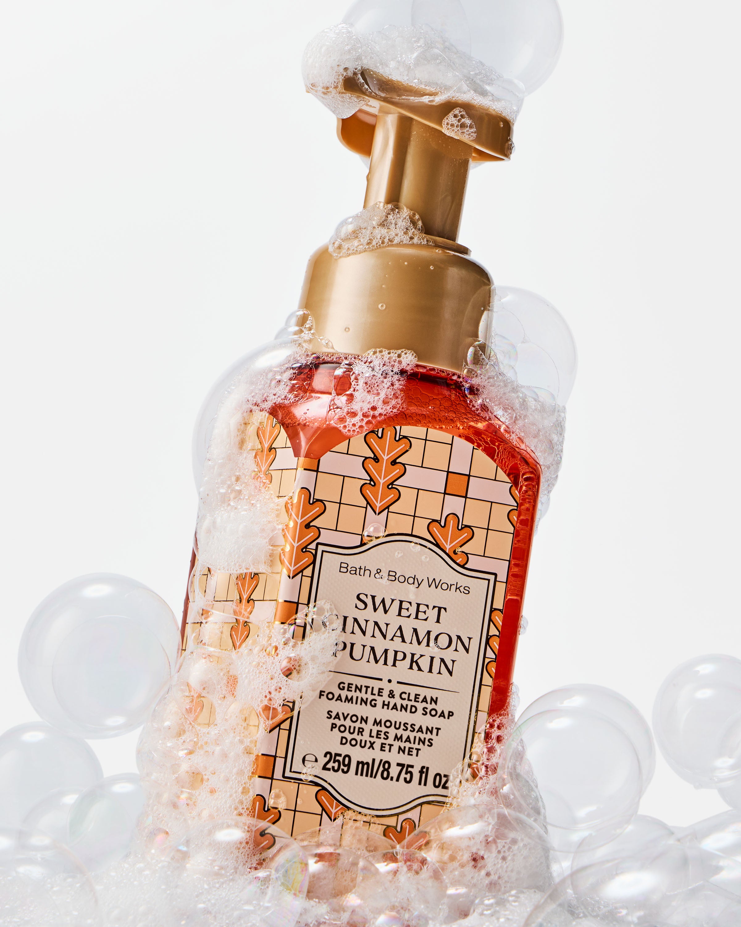 Sweet Cinnamon Pumpkin Gentle & Clean Foaming Hand Soap