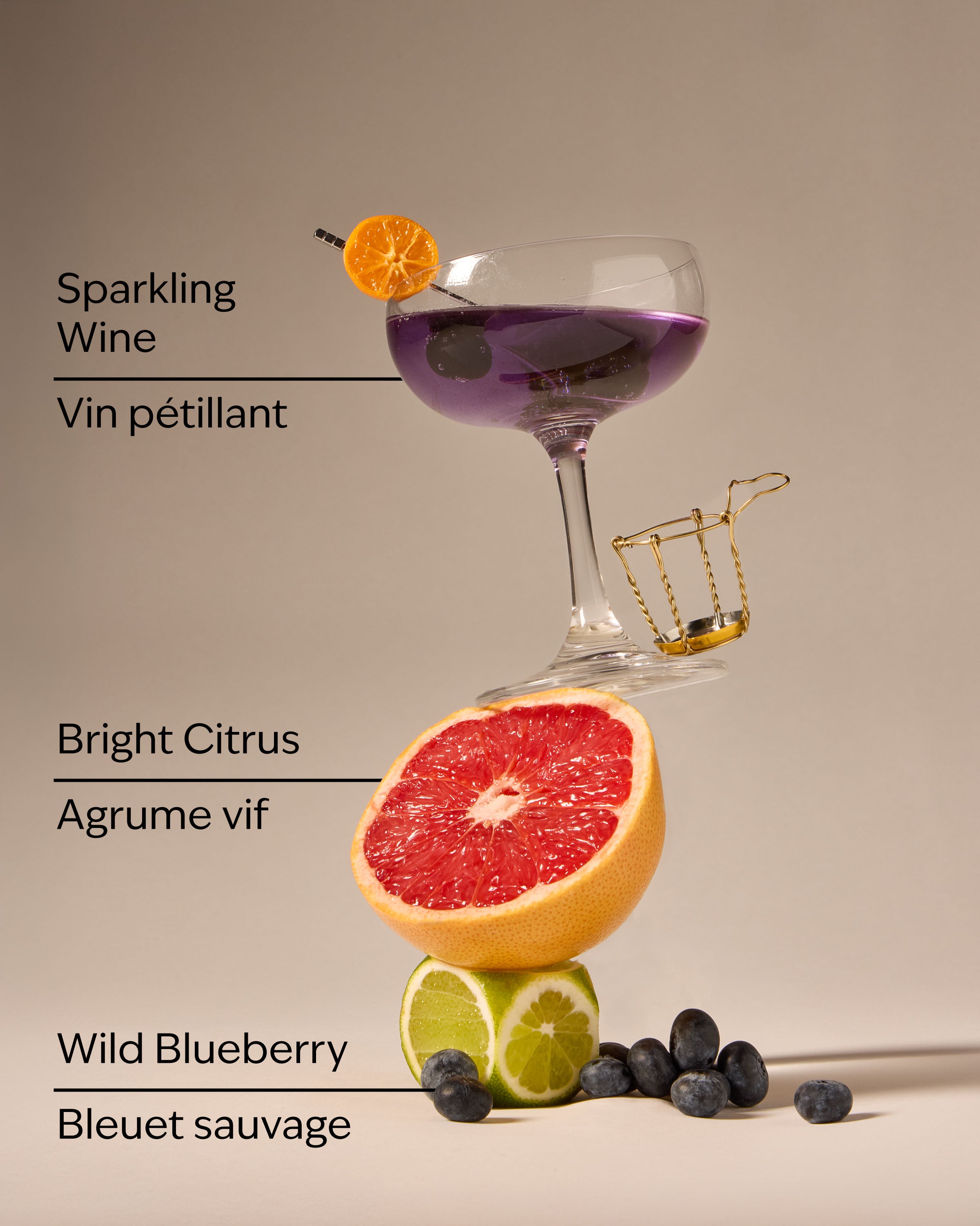 Blueberry Bellini Gentle & Clean Foaming Hand Soap