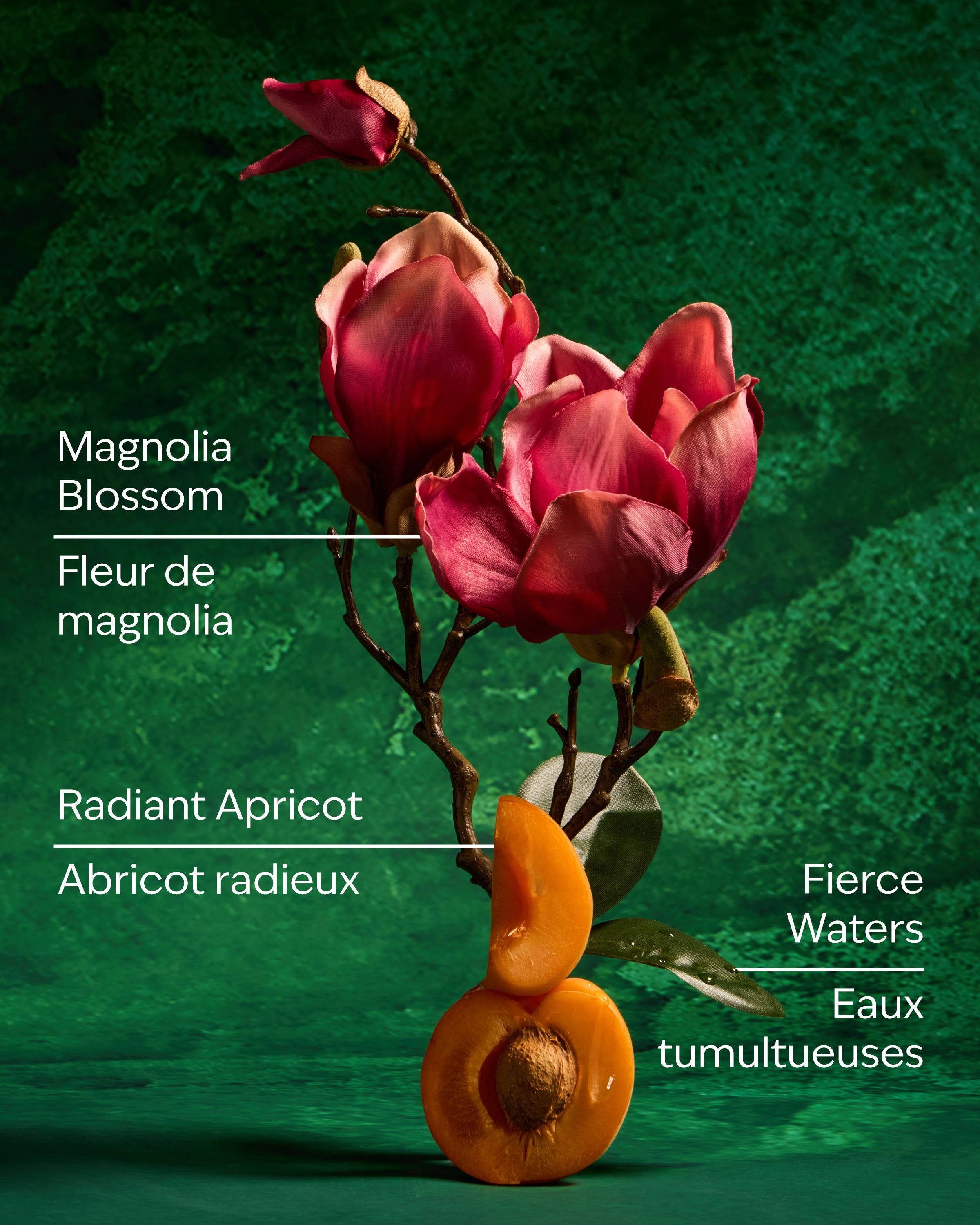 Mulan Wallflowers Fragrance Refill