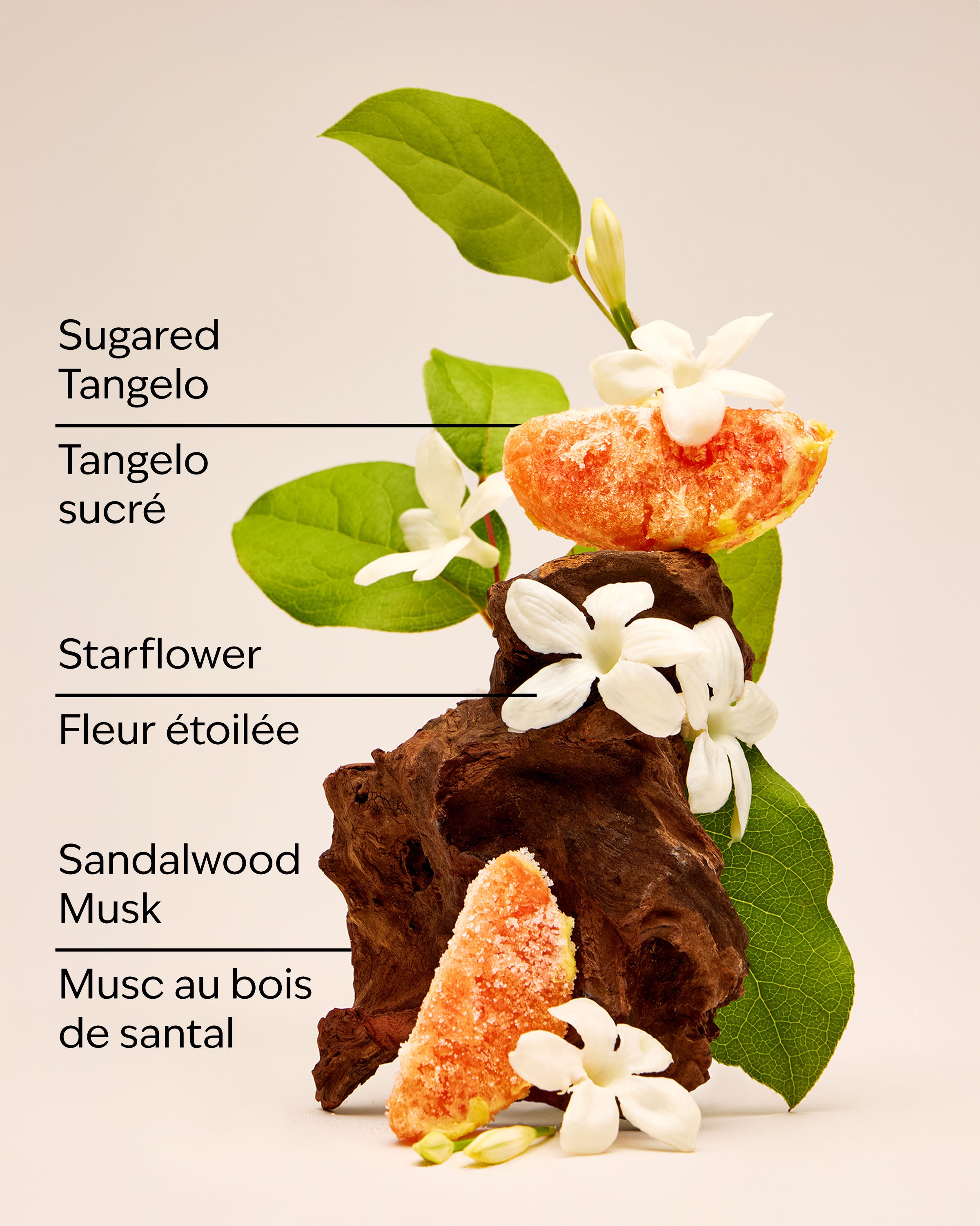 In the Stars Wallflowers Fragrance Refill