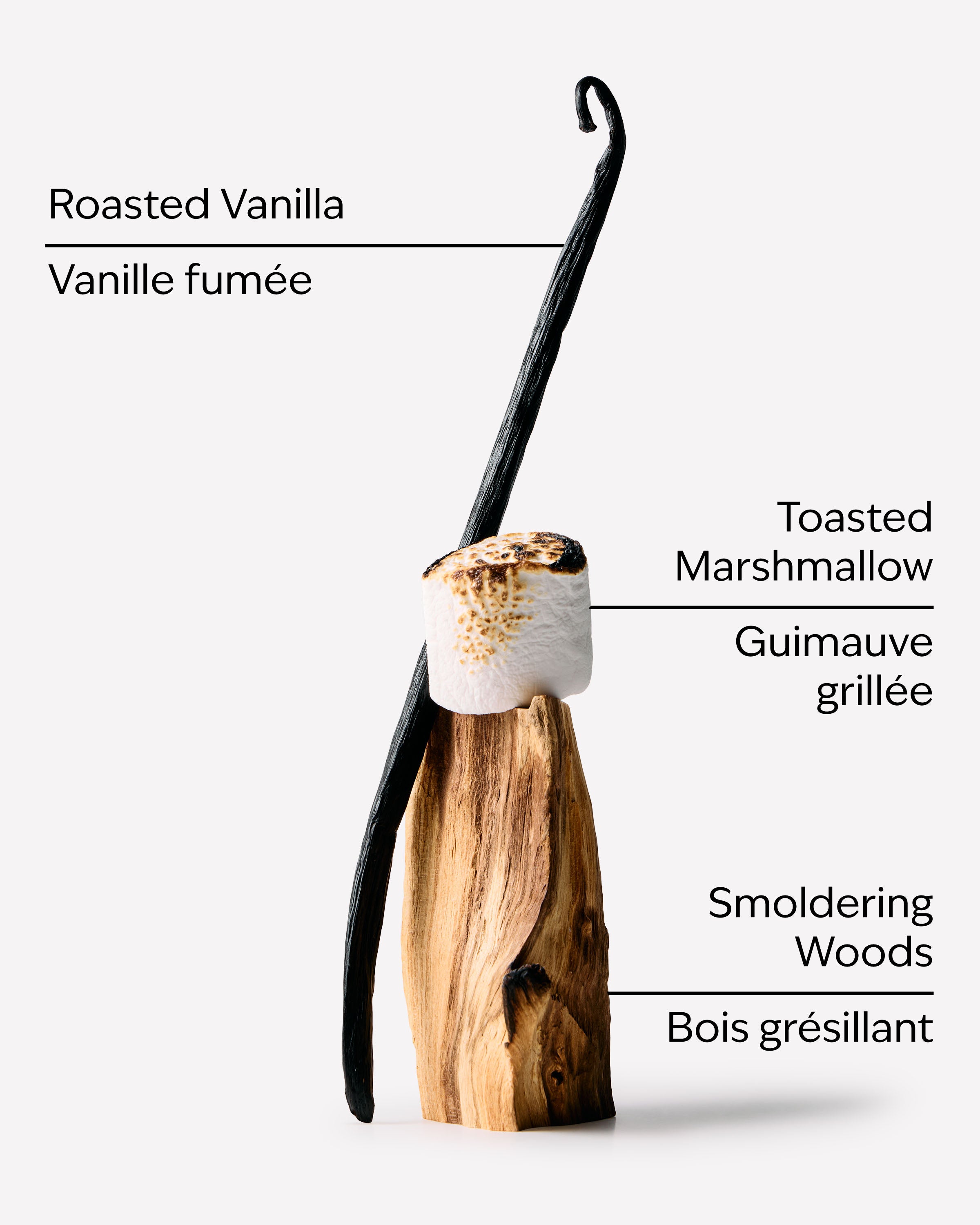 Marshmallow Fireside Wallflowers Fragrance Refill