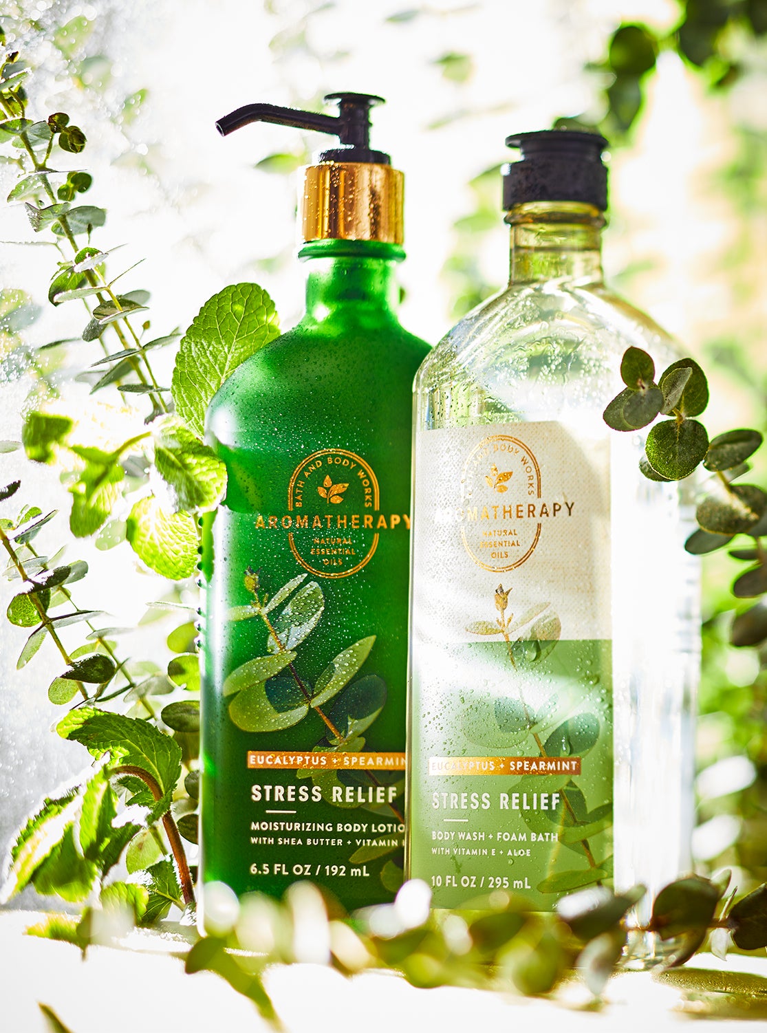 Collection Eucalyptus Spearmint | Bath and Body Works