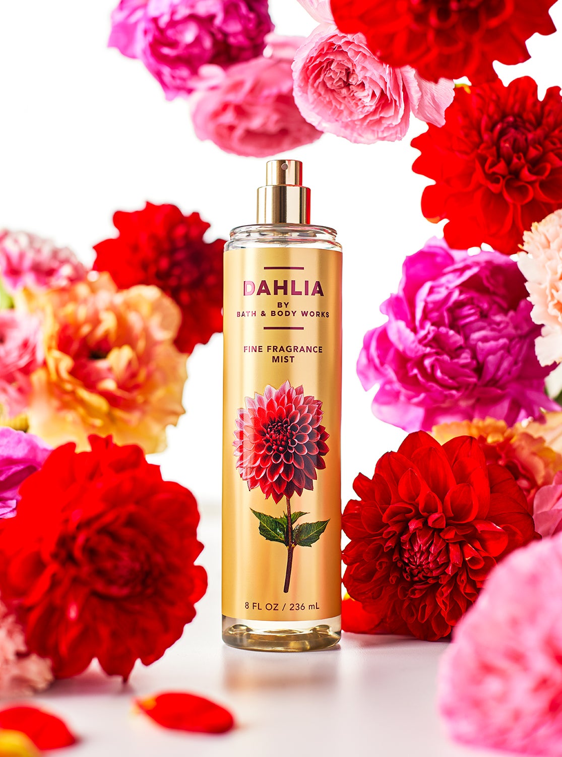 Collection Dahlia | Bath and Body Works