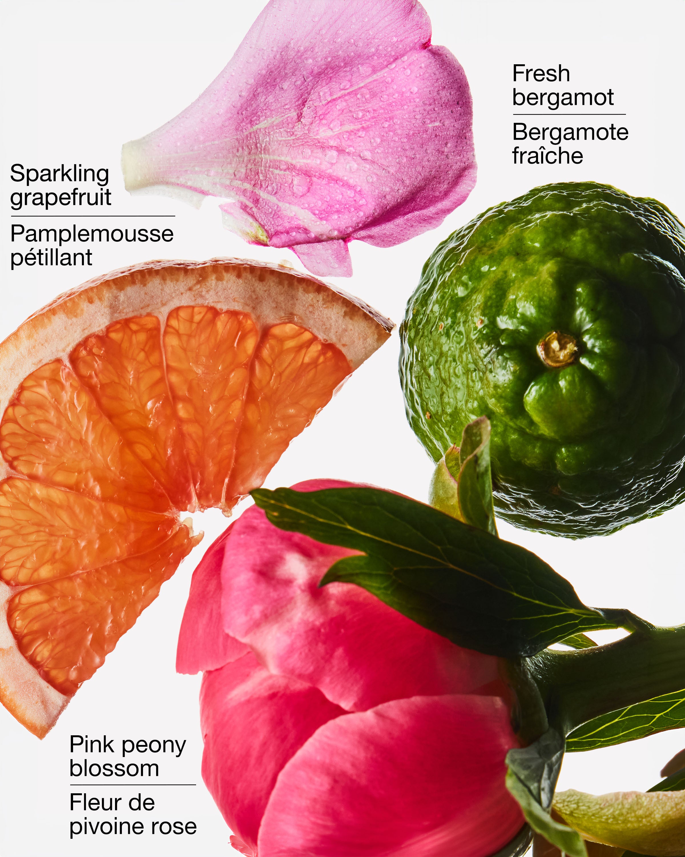 Recharge de fragrance Wallflowers Ray Of Sunshine